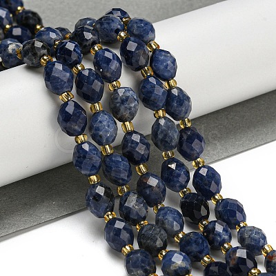 Natural Sodalite Beads Strands G-N342-37-1