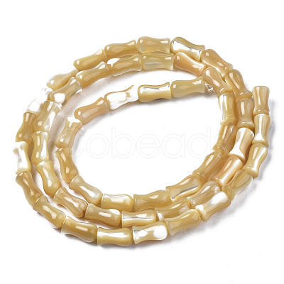 Natural Trochid Shell/Trochus Shell Beads Strands SSHEL-N034-122-A01-1