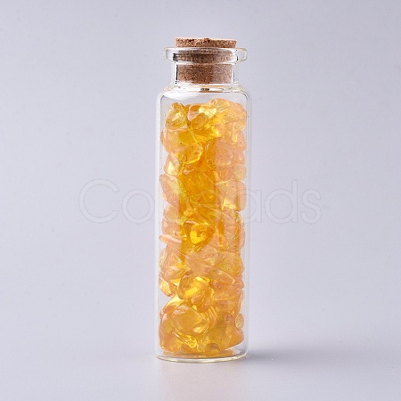 Glass Wishing Bottle DJEW-L013-A07-1