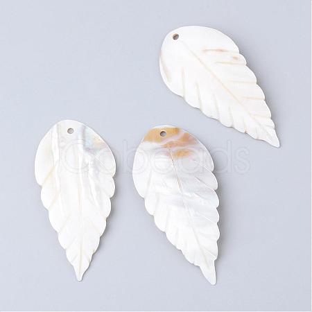 Freshwater Shell Big Pendants SHEL-S249-10-1