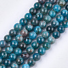 Natural Apatite Beads Strands X-G-S333-8mm-031-1