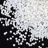 FGB Transparent Glass Seed Beads SEED-S019-05A-2
