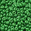 Baking Paint Glass Seed Beads SEED-B001-02A-05-3