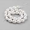 Shell Pearl Beads Strands BSHE-K010-03B-2