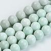 Natural Agate Beads Strands G-S286-06D-1