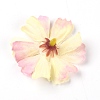 Silk Cloth Artifical Flower DIY-WH0259-44M-2