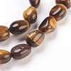 Natural Gemstone Beads Strands G-F575-01-3