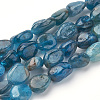 Natural Apatite Beads Strands G-T064-27-1