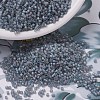 MIYUKI Delica Beads Small SEED-X0054-DBS0863-1