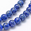 Natural Lapis Lazuli Beads Strands X-G-P335-09-8mm-5