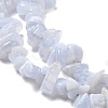 Natural Blue Lace Agate Chip Beads Strands X-G-E271-73-01-3