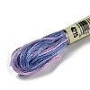 10 Skeins 6-Ply Polyester Embroidery Floss OCOR-K006-A66-2