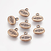 Tibetan Silver Message Charms X-RLF9220Y-NF-1
