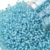TOHO Round Seed Beads SEED-JPTR11-2117-1