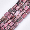 Natural Rhodonite Beads Strands X-G-S345-8x11-017-1