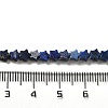 Natural Lapis Lazuli Beads Strands G-G085-B02-02-4