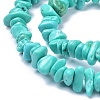 Natural Magnesite Beads Strands TURQ-P001-02A-07-3