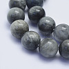 Natural Hawk's Eye Beads Strands G-L478-02-12mm-2