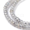 Natural Labradorite Beads Strands G-A026-C03-3
