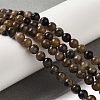 Natural Chiastolite Beads Strands G-Q161-A03-02-2