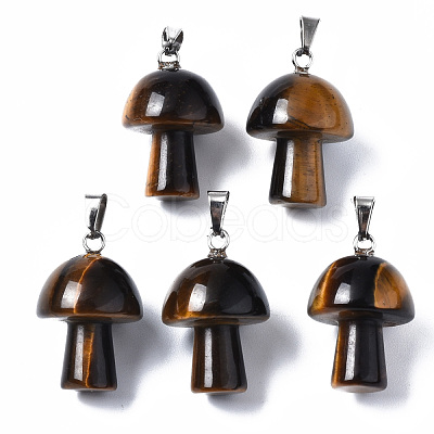 Natural Tiger Eye Pendants G-N0325-10A-1