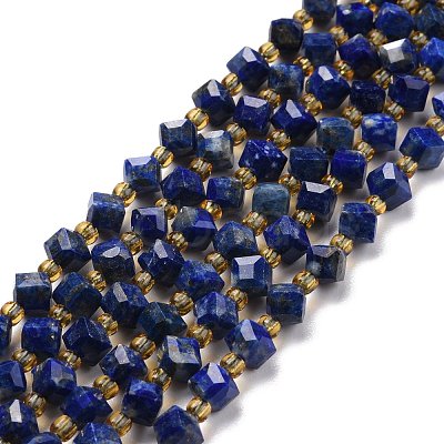 Natural Lapis Lazuli Beads Strands G-P463-25-1