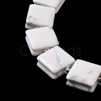 Natural Howlite Beads Strands G-L596-A19-01-1