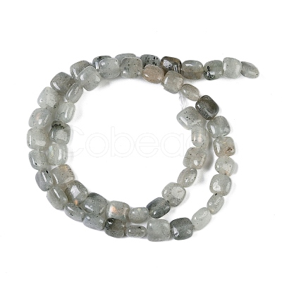 Natural Labradorite Beads Strands G-M435-A11-01-1