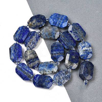 Natural Lapis Lazuli Beads Strands G-B125-P11-01-1