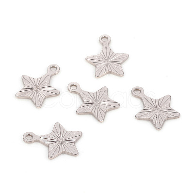 Non-Tarnish 201 Stainless Steel Charms STAS-L244-18P-1