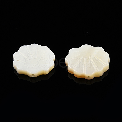 Natural Freshwater Shell Beads X-SHEL-T007-02-1