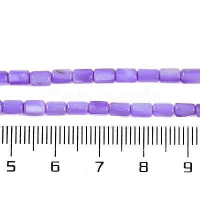 Natural Freshwater Shell Beads Strands BSHE-H109-17C-1