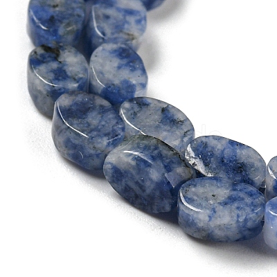 Natural Blue Spot Jasper Beads Strands G-M420-H06-03-1