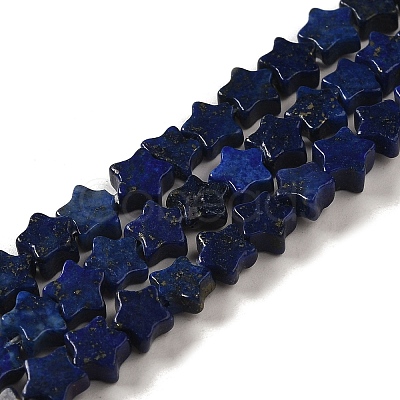 Natural Lapis Lazuli Beads Strands G-G085-B02-02-1