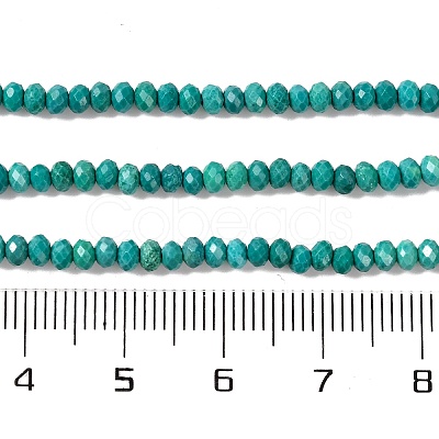 Natural Howlite Beads Strands G-H025-03B-04-1