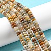 Natural Crazy Agate Beads Strands G-K343-C04-02-2
