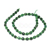 Natural Malachite Beads Strands G-O201B-05-2