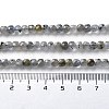 Natural Labradorite Beads Strands G-M421-B02-01-5