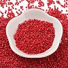 Baking Paint Glass Seed Beads X-SEED-S042-05B-91-2
