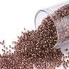 TOHO Round Seed Beads X-SEED-TR15-0746-1