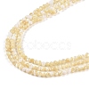 Natural Trochus Shell Beads Strands BSHE-G036-08A-02-3