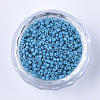 Glass Cylinder Beads SEED-Q036-01A-D06-2