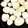 Shell Beads SSHEL-T005-08-1