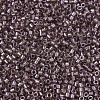 MIYUKI Delica Beads X-SEED-J020-DB0912-3