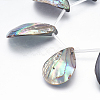 Natural Abalone Shell/Paua Shell Beads Strands SSHEL-P014-03-3
