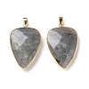 Faceted Natural Labradorite Pendants G-F340-02D-2