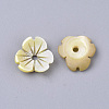 Yellow Shell Beads SSHEL-S251-38-2