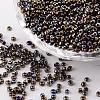 12/0 Glass Seed Beads X-SDB602-1