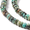 Natural African Turquoise(Jasper) Beads Strands G-F717-02A-4