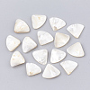 White Shell Beads SHEL-T005-06-1